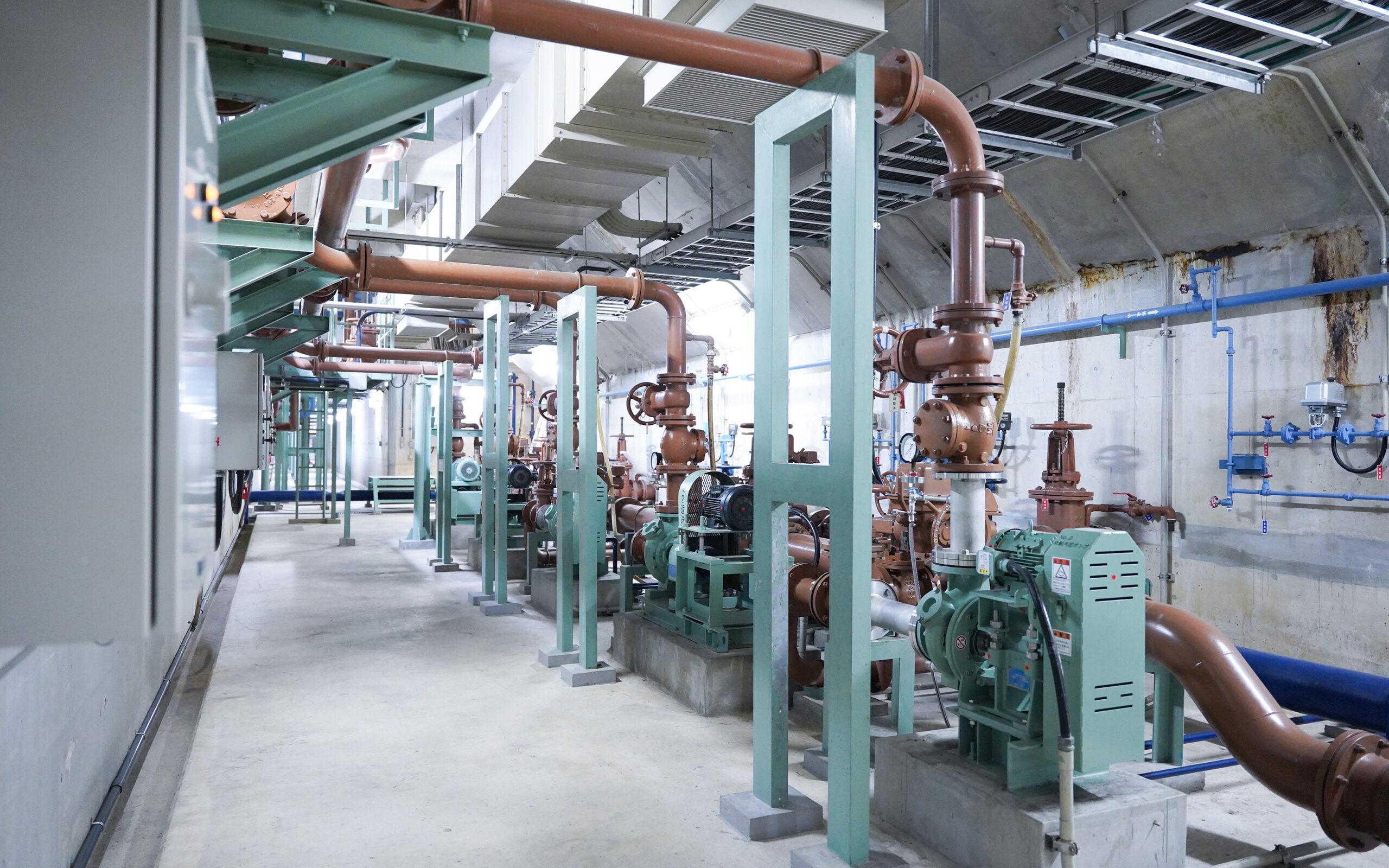 Conserve water and the environment